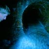 Video: Diving Into Surprisingly Pretty Sewer Tunnels Beneath Bushwick